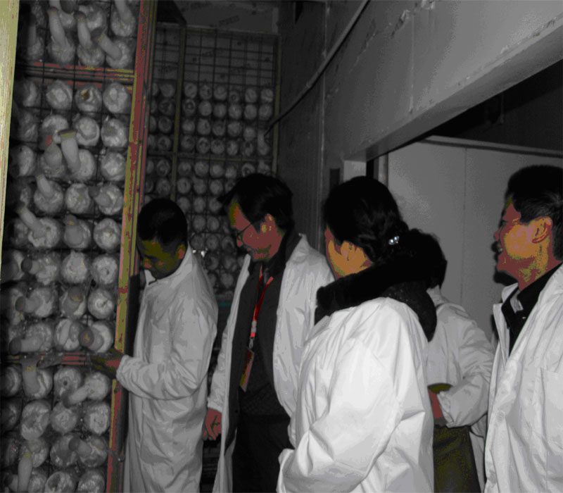 201202230931241970.jpg
