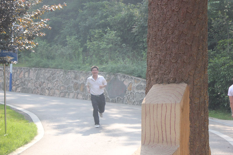 201305271543357102.jpg